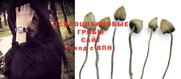 амф Алзамай