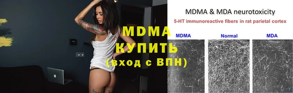 стаф Алексин