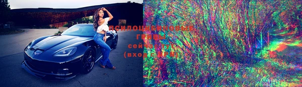 стаф Алексин