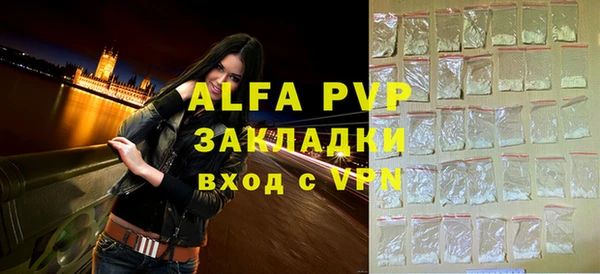 стаф Алексин