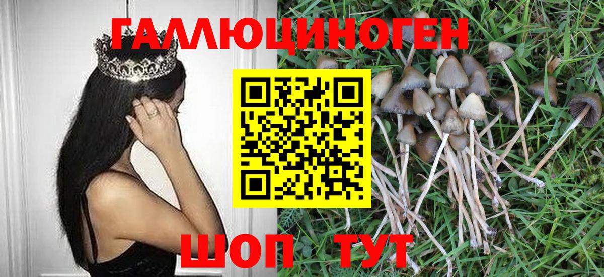 Псилоцибиновые грибы GOLDEN TEACHER  Вход с VPN  где купить наркоту  Белгород 