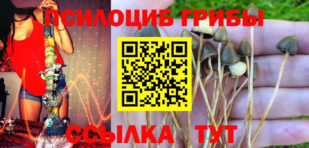 Псилоцибиновые грибы GOLDEN TEACHER Белгород